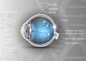Viral and Non-Viral Gene Therapies for Inherited Retinal Disease