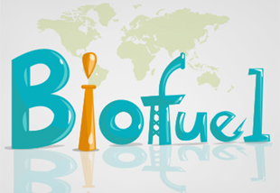 Biofuel Picture