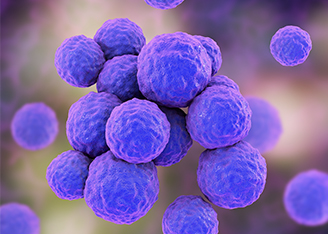 α-Hemolysin derived from Staphylococcus aureus Promotes Inflammation Resolution through Generation of Specialized Pro-resolving Mediators