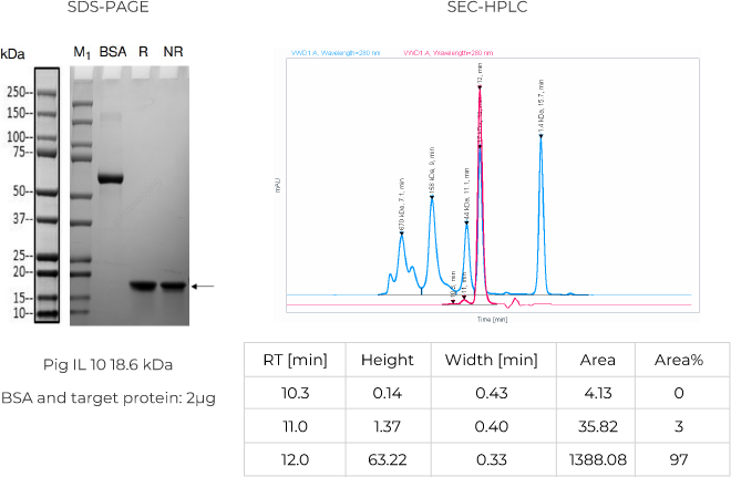 Cytokine_Interleukins-10 SDS-PAGE & SEC-HPLC