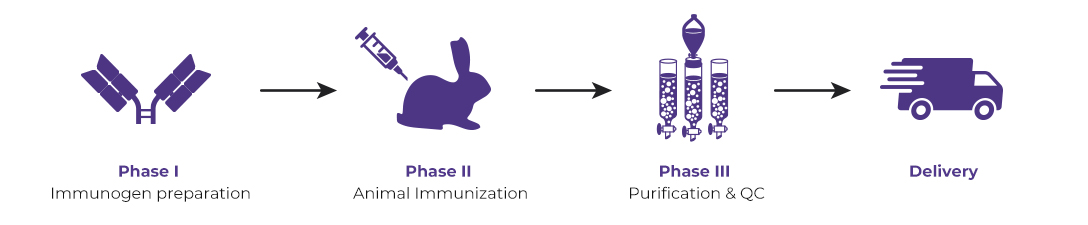 Anti-ID Polyclonal Antibody Package 