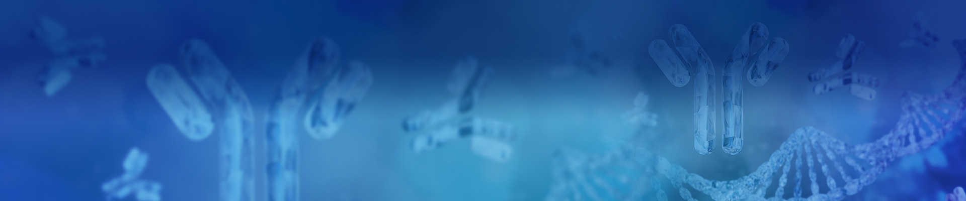 High Throughput Gene to Antibody Service