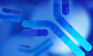 Antibody Development Services