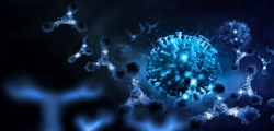 Antibody Drug Discovery