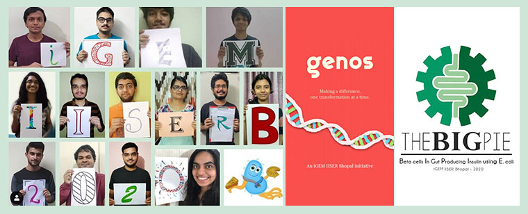 2020 iGEM Sponsorship