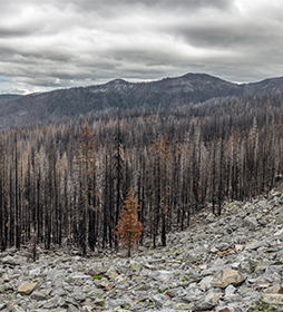 2020 Oregon Whitewater Fire 2020 Oregon Whitewater Fire