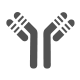 Molecular Biology & Mutant Library