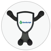 Wireless Car Charger