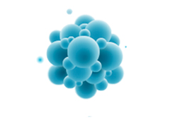 Stable Cell Lines