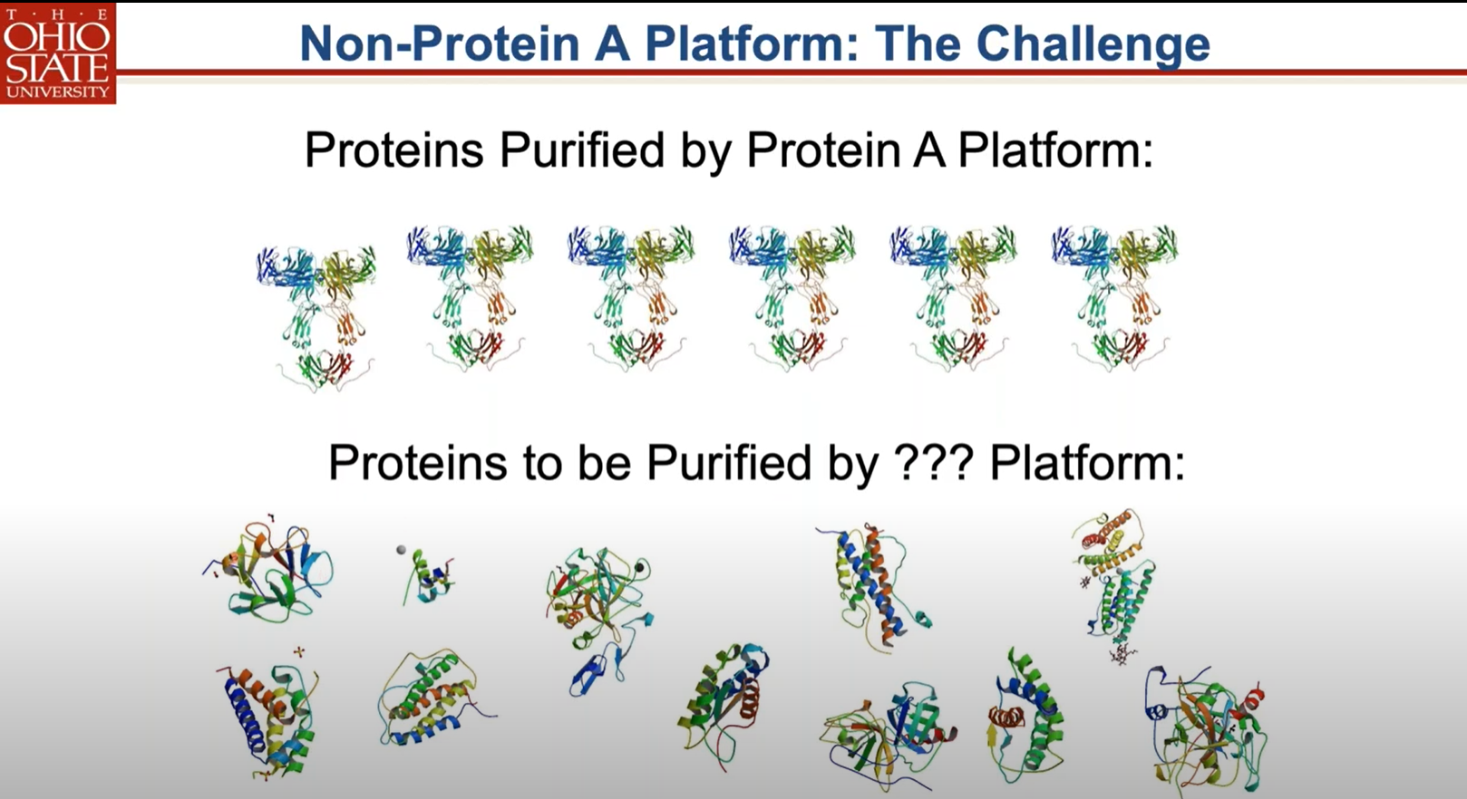 singular Protein A affinity platform