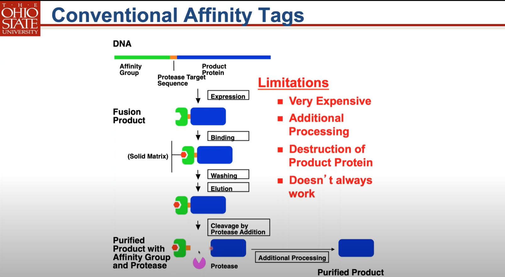 conventional affinity tags