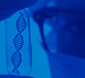 A Novel Synthetic Self-amplifying RNA System and LNP delivery