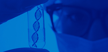 A Novel Synthetic Self-amplifying RNA System and LNP delivery