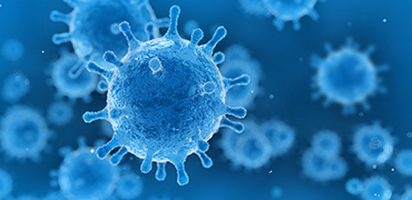 Adaptive Immune Response in Narcolepsy Type 1