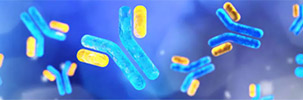 Antibody/Protein Engineering Solutions to Achieve your Perfect Molecule