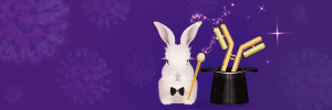 COVID-19 Rabbit Antibody Discovery using Single B Cell Screening