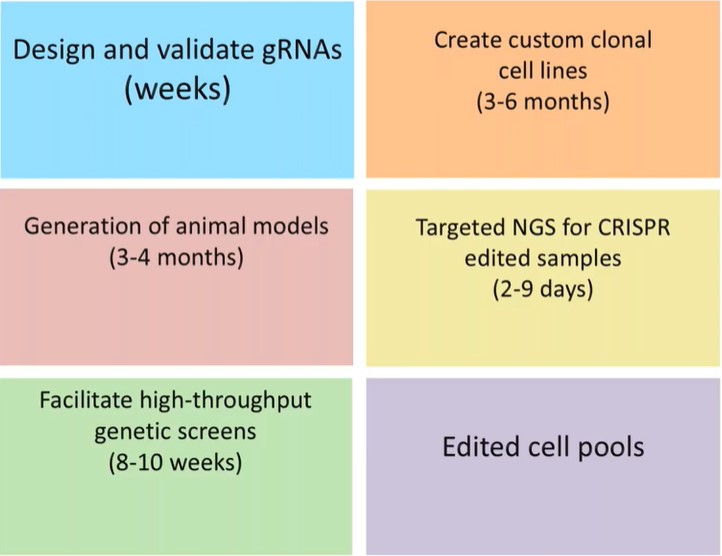 CAGE Offerings Workflow