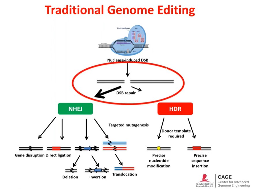 traditional CRISPR genome editing at CAGE