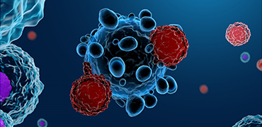 Development of CAR-T Cells for T-ALL Targeting CCR9