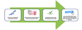 Efficient stable cell pool/cell line development for large-scale antibody and protein production