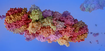 Enhancing Treatments using Targeted Protein Degradation | GenScript