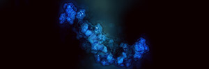 Peptide Application for Skin Care and Cosmetics