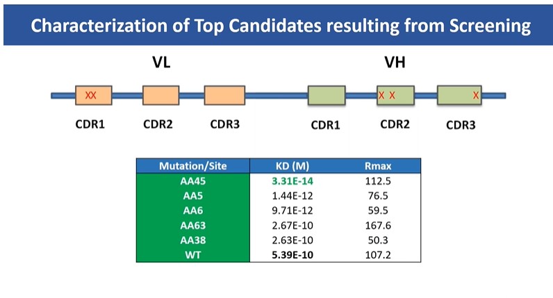 Characterization of Top Candidates resulting from Screening