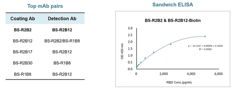 Top SARS-CoV-2 mAb pairs evaluated in Sandwich ELISA