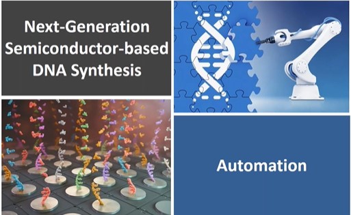 Options for Antibody Optimization
