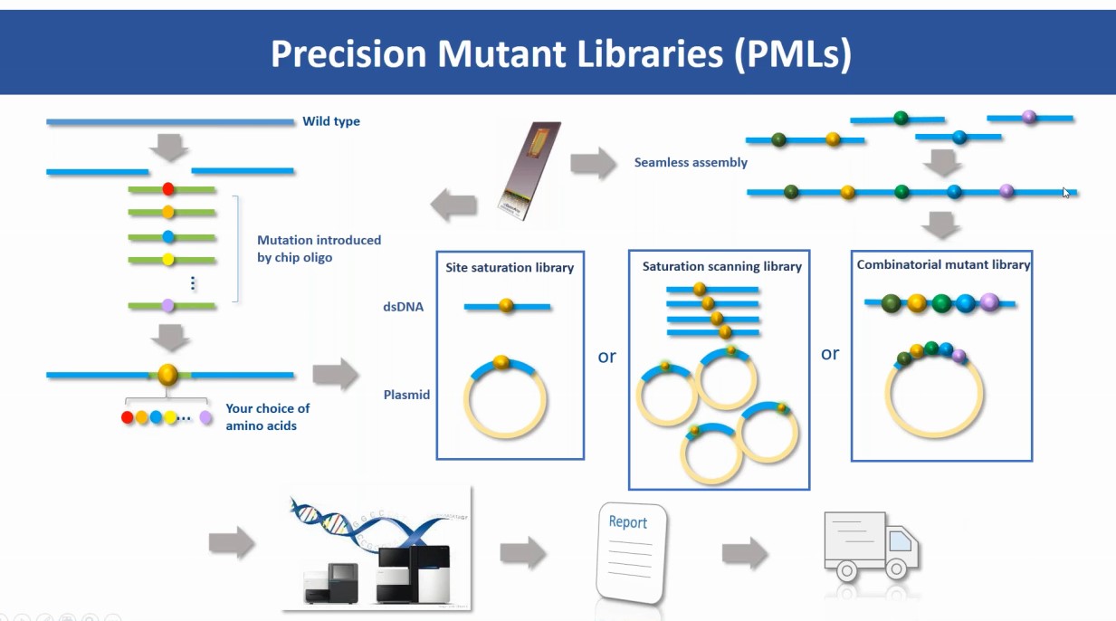 Precision Mutant Libraries(PML)