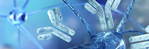 State of art in antibody engineering for better therapeutic antibodies