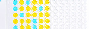 Tips for Successful ELISA kit Development