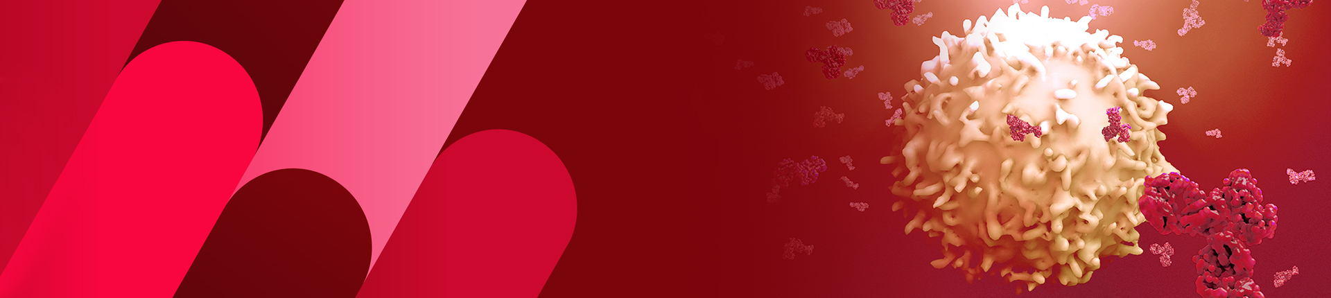 Antibody Development and Production Services