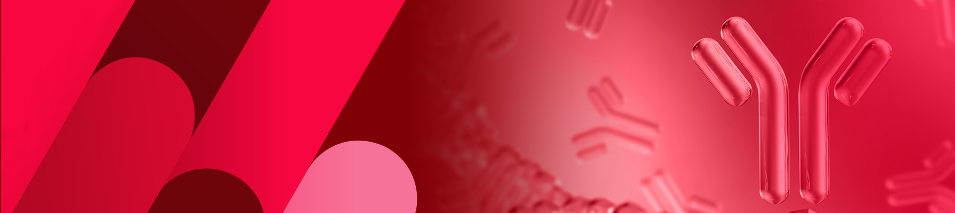 Anti-idiotype Antibody Services