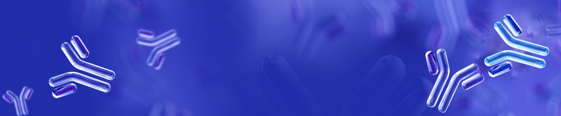 Anti-idiotype Antibody Services