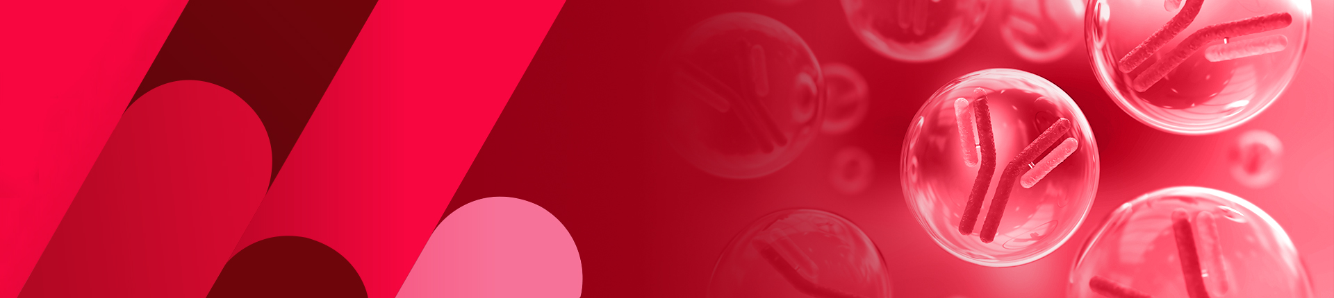 Scale-Up Antibody Production Services from Hybridoma Cells