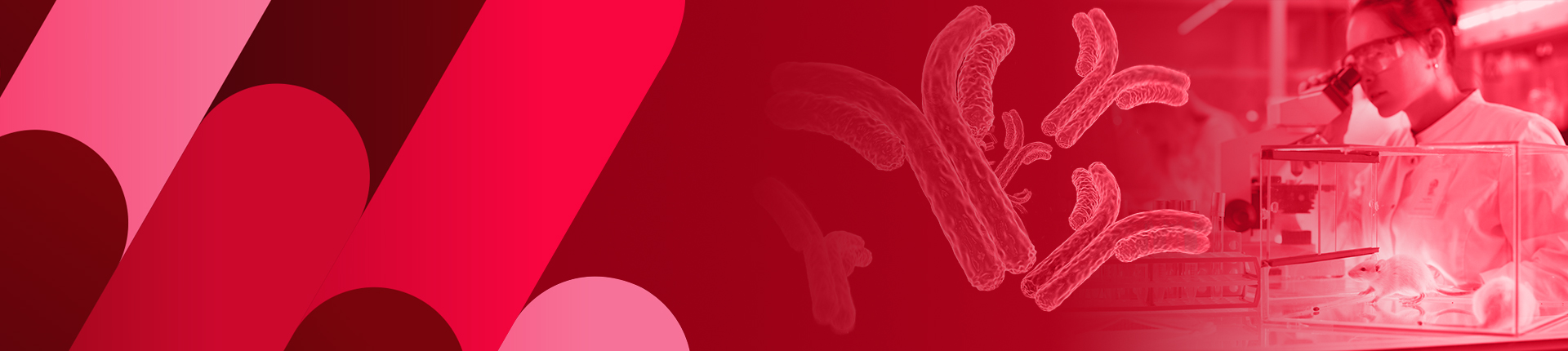  Antibody Sequencing Service
