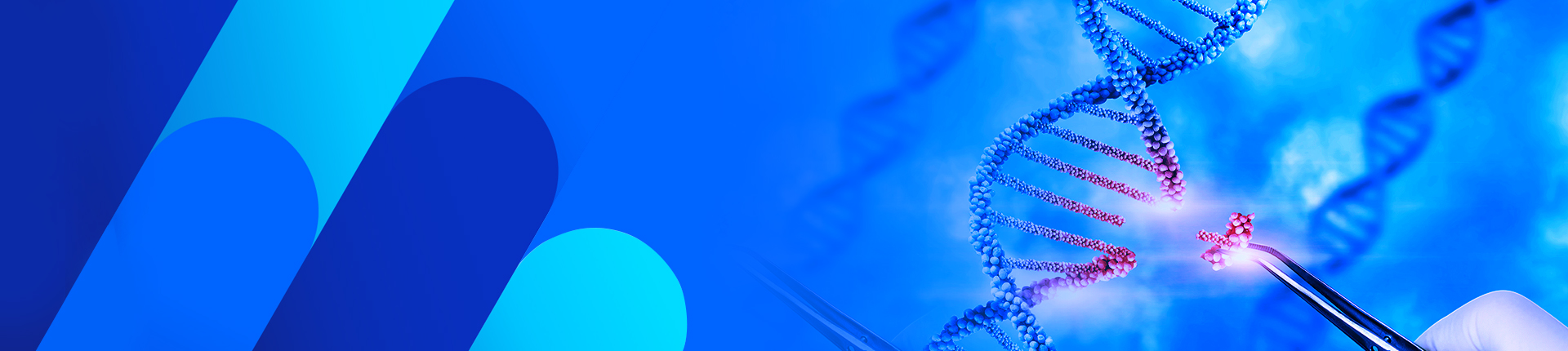 BLI & SPR Real-time Affinity Measurement Services