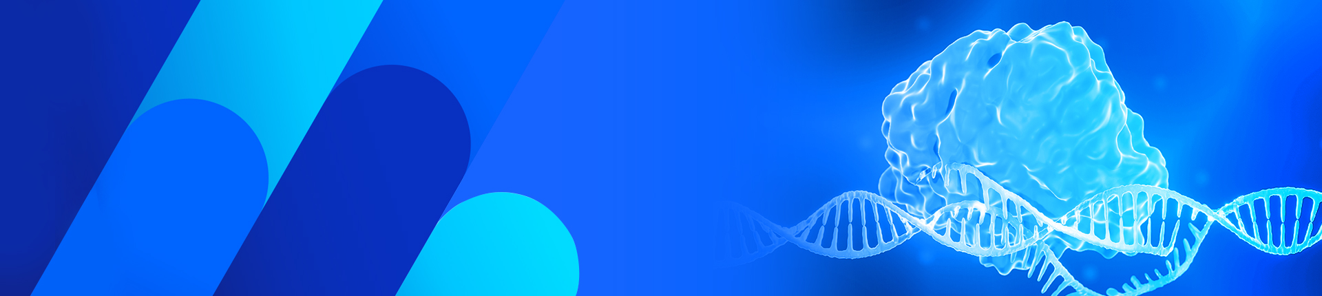 Cas9 Enzymes