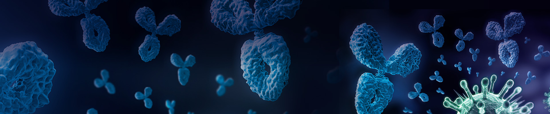 COVID-19 Reagent Antibodies