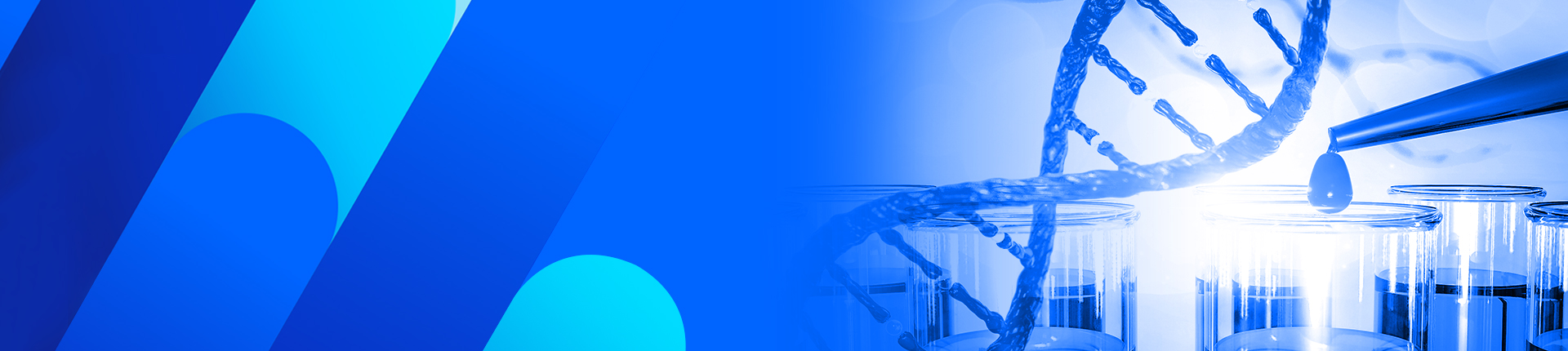 CRISPR Gene Editing Kits and Antibodies