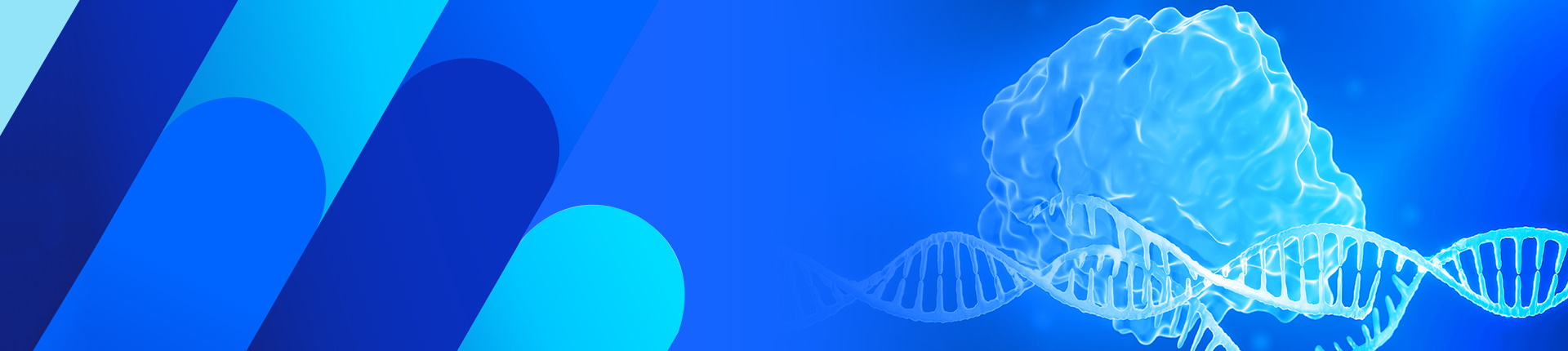 CRISPR/Cas9 sgRNA Synthesis
