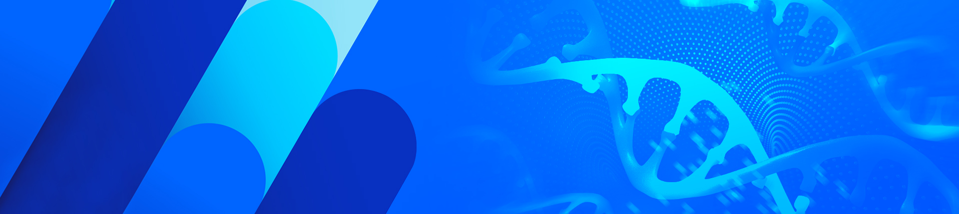  CRISPR Cell Line Development