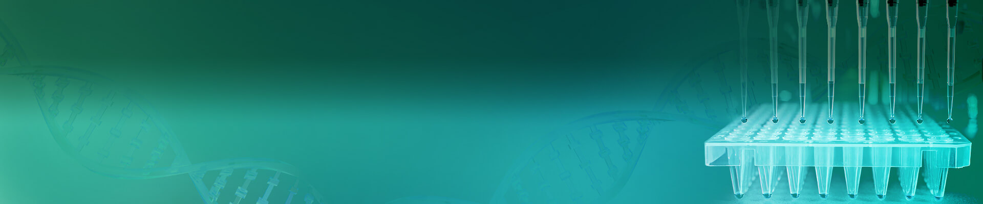 Plasmid DNA Preparation Services Banner