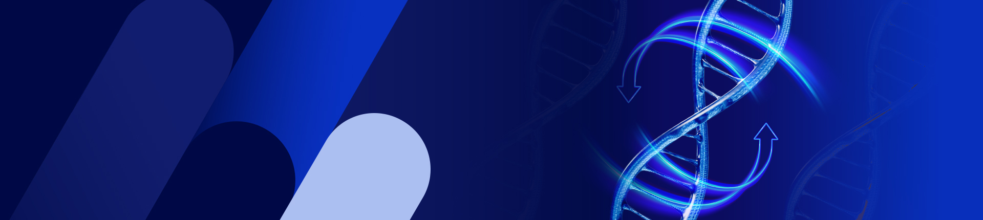cloning-vector vector-list banner