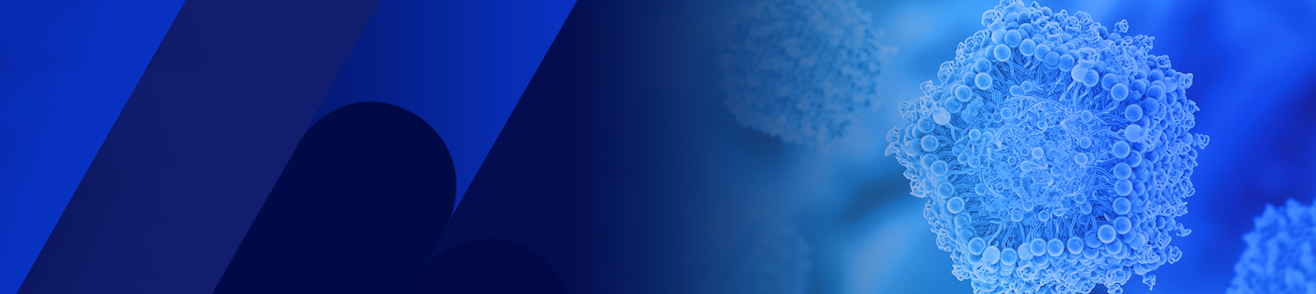 Lipid Nanoparticle Formulation for Advanced RNA Delivery