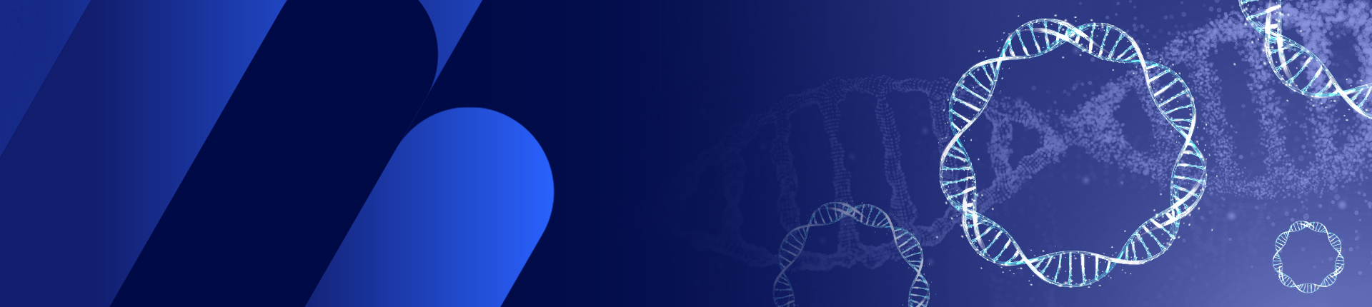 Plasmid DNA Preparation Service