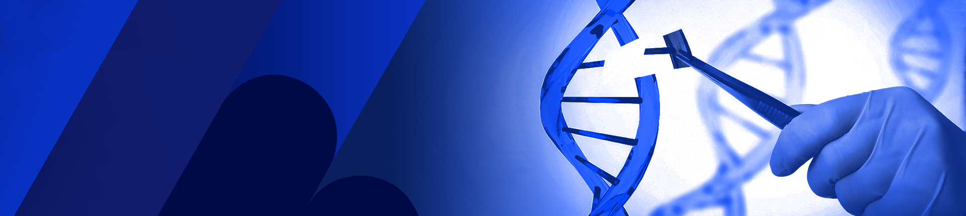 DNA Mutant Library