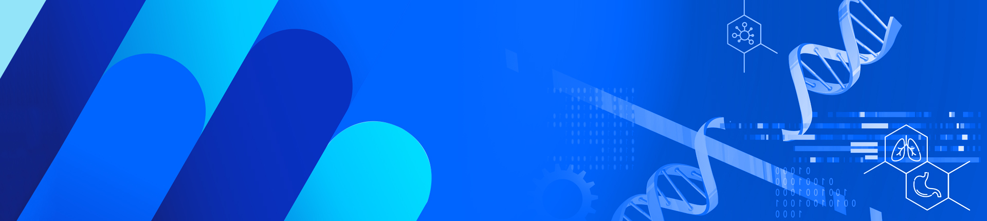 CRISPR gRNA Libraries