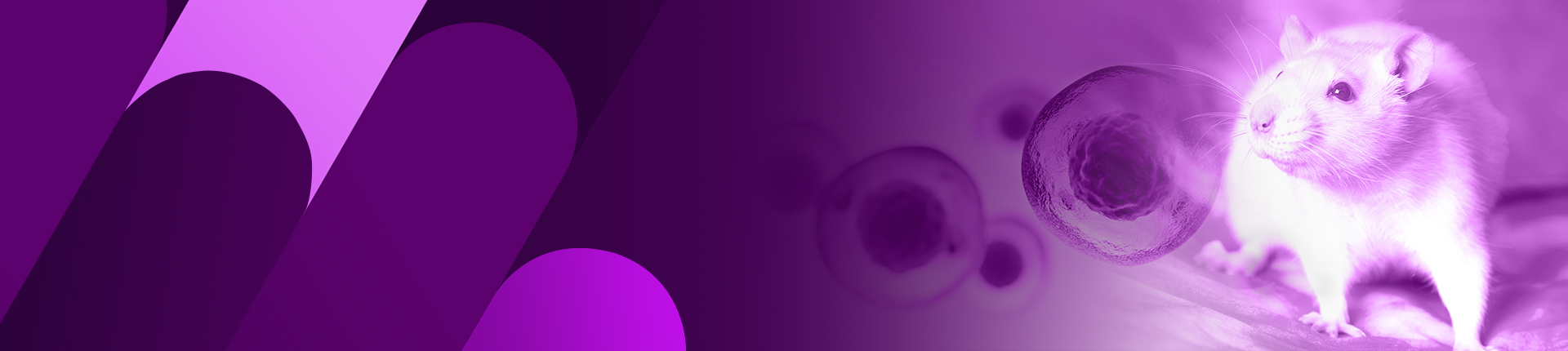 Recombinant Protein Expression in Mammalian System